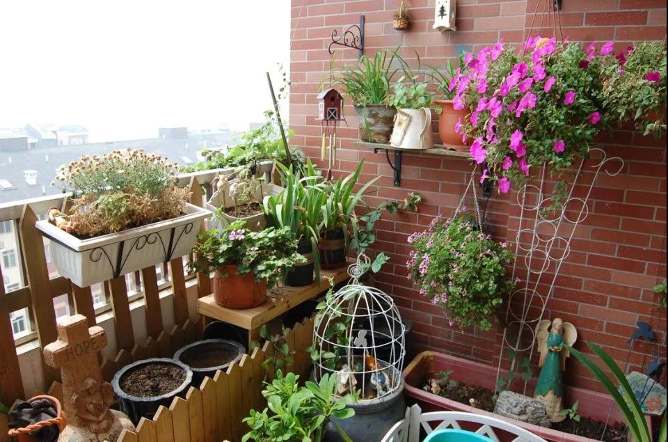 什么技巧可以讓“偽花癡”快速進(jìn)階為園丁達(dá)人？