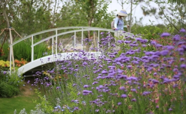第10屆花博會，虹越喜獲11項大獎！