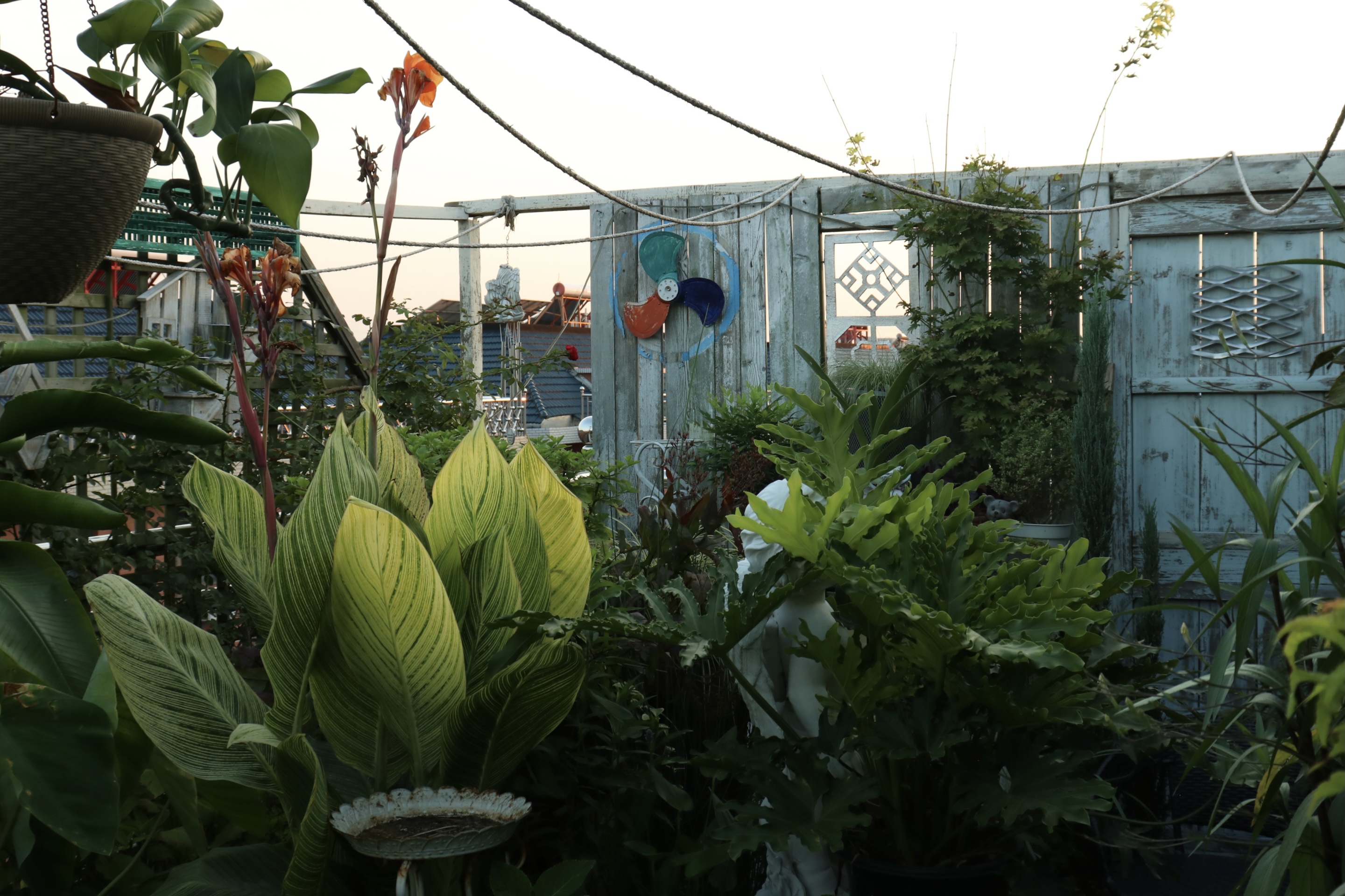 0元爆改水泥天臺(tái)，高手竟在我身邊？！