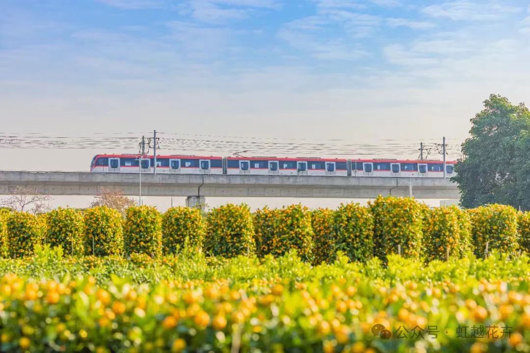 3月又有新花展！還有園藝大咖齊聚，解鎖美麗生活新方式