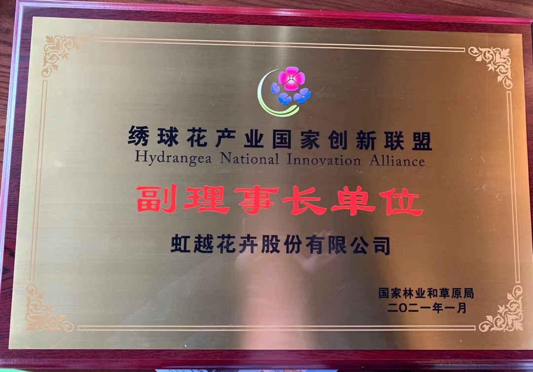 1610091590817717.jpg 官網(wǎng)3.jpg