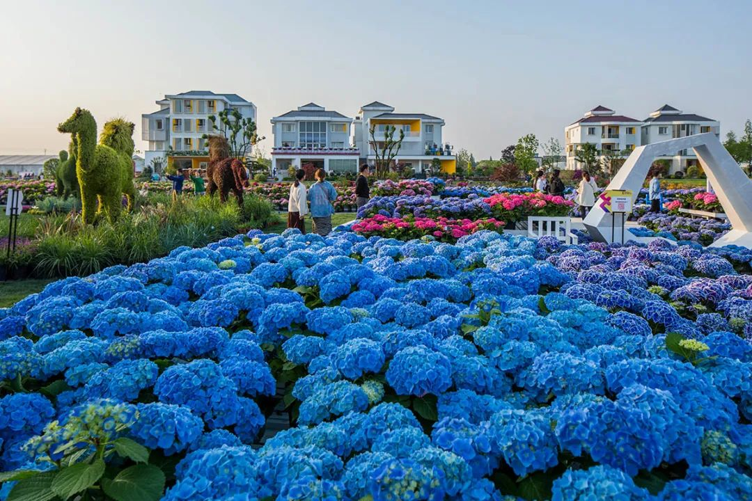 1647239053173011.png image.png