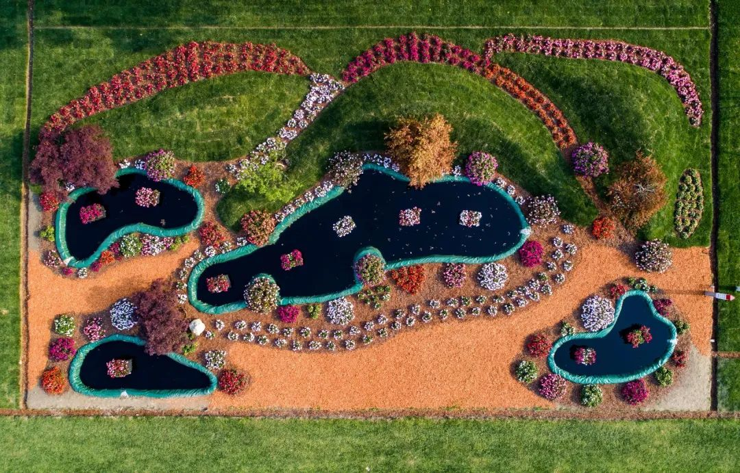 1647240742692563.png image.png