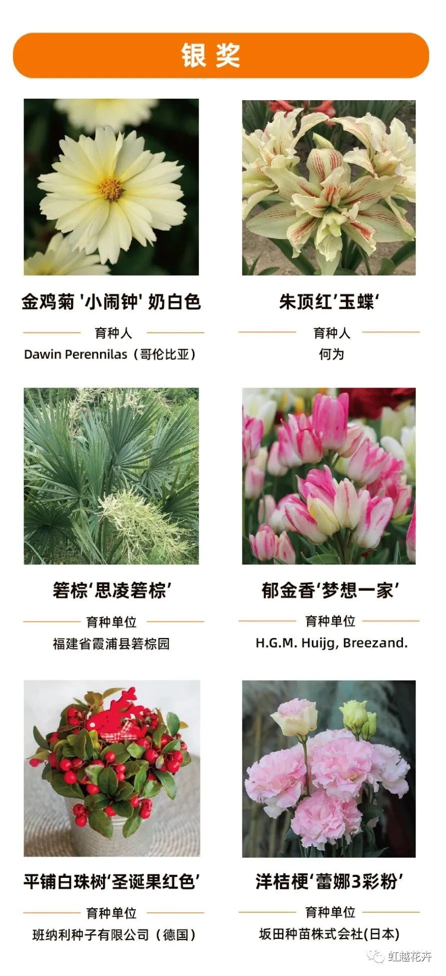 1705891253719936.jpg 62e5aff4d8a586a7f13c32e809446909.jpg